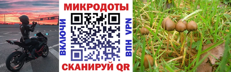 Псилоцибиновые грибы мицелий  Абаза 